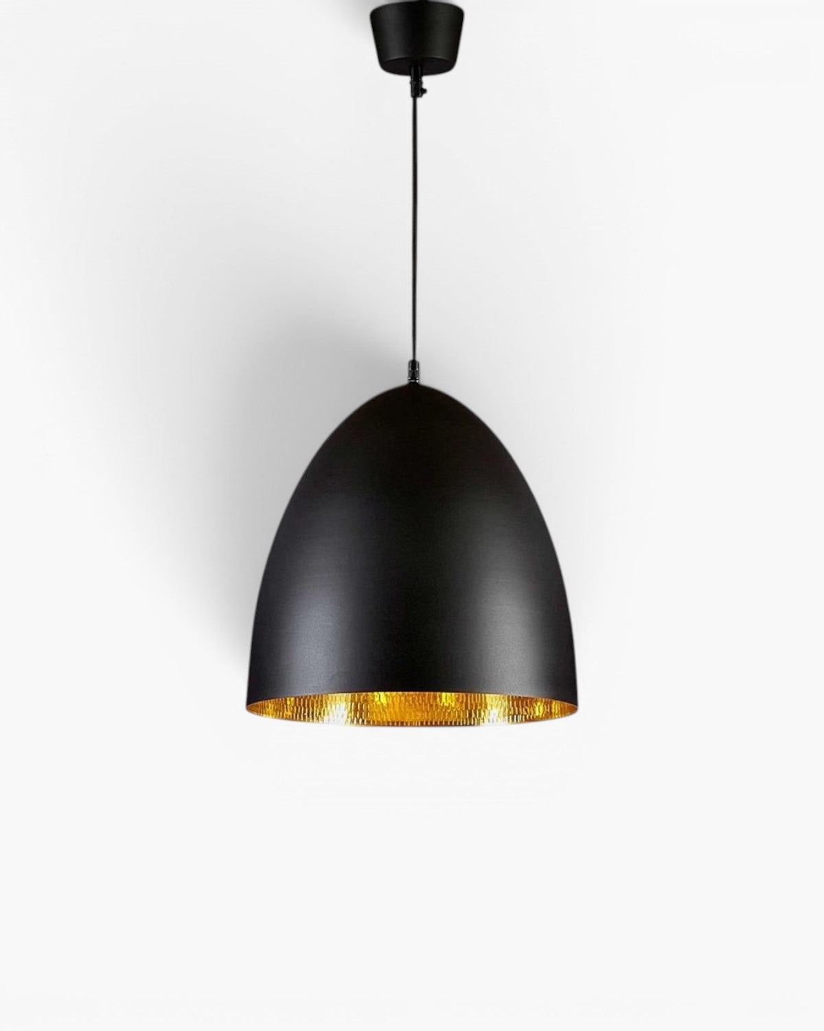 Egg Ceiling Pendant Black and Brass