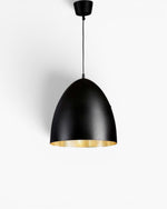 Egg Ceiling Pendant Black and Silver