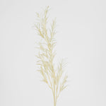 Podocarpus Grass Spray Beige