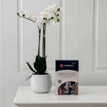 Fabric Protector Pack Dining Chair