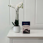 Fabric Lounge Care Pack 2-4 Seat