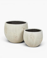 Oyster Planter LGE Chalk
