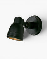 Pasco Outdoor Wall Light Black