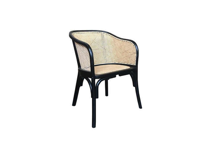 Pier Tub Chair