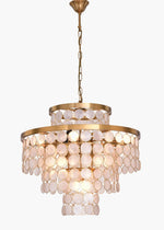 Paloma Shell Chandelier