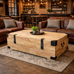 Recycled Elm and Iron Trunk